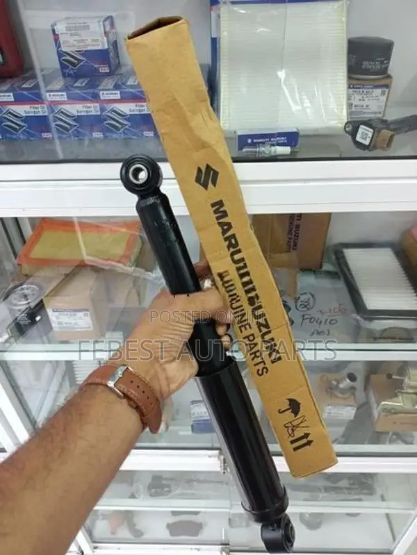 Alto 800 Rear Shock