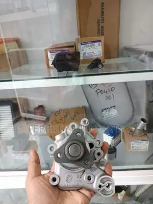Alto 800 Water Pump