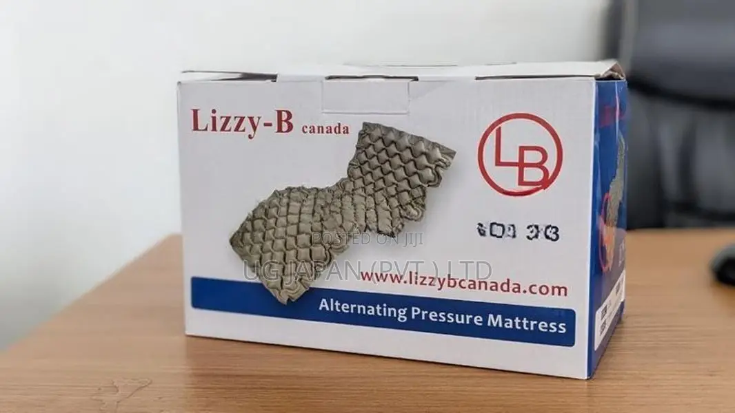 Mattress With Pump