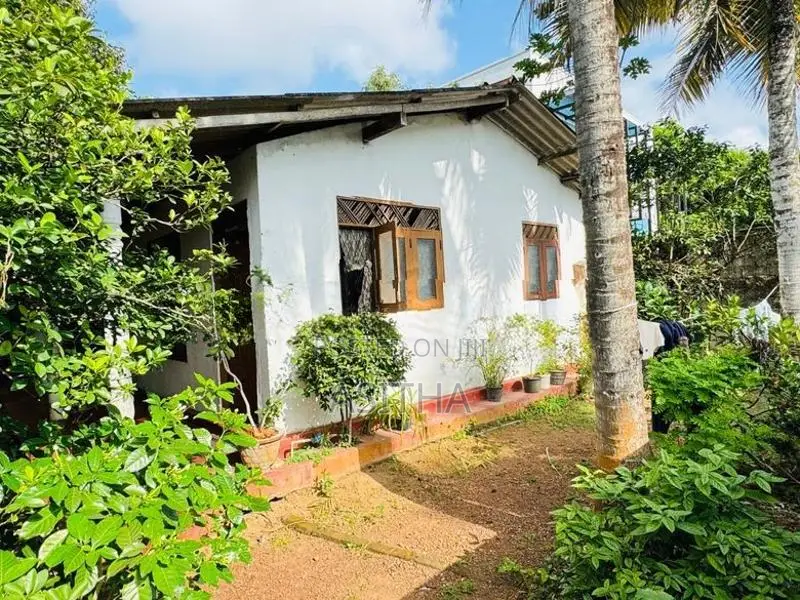 15 Perch Land Value for Sale Ambuldeniya