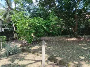 Super Land for Sale Mirihana Ds11637
