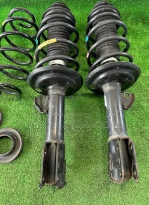 Aqua Nhp10 Shock Absorbers