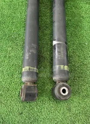 Aqua Nhp10 Shock Absorbers