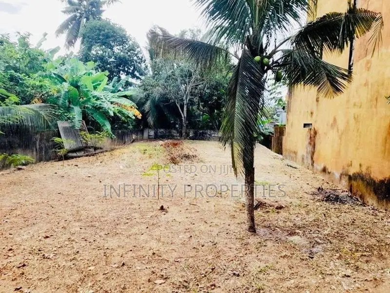 (NNI355) 11.6 P Commercial Land Sale