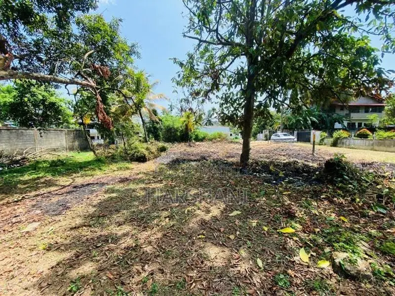 Few Land Blocks for Sale at Gotatuwa, Close to Rajagiriya & Dematagoda