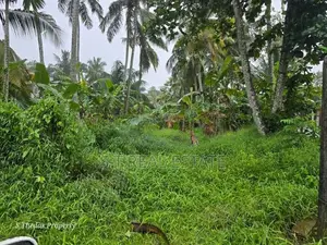 20P Rectangular Bare Land For Sale In Kesbewa