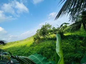 8.5P Superb Land Facing Paddy field Close to Tech Universities, Malabe
