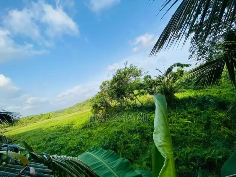 8.5P Superb Land Facing Paddy field Close to Tech Universities, Malabe