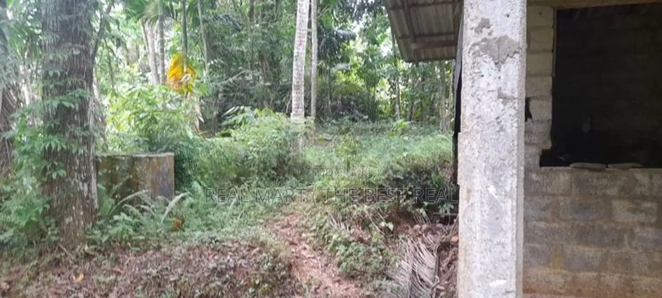 Padukka : 95.1 Perch Coconut Land with 4 Bedrooms House for Sale