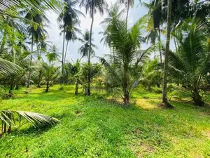 8.5P Superb Land Facing Paddy field Close to Tech Universities, Malabe