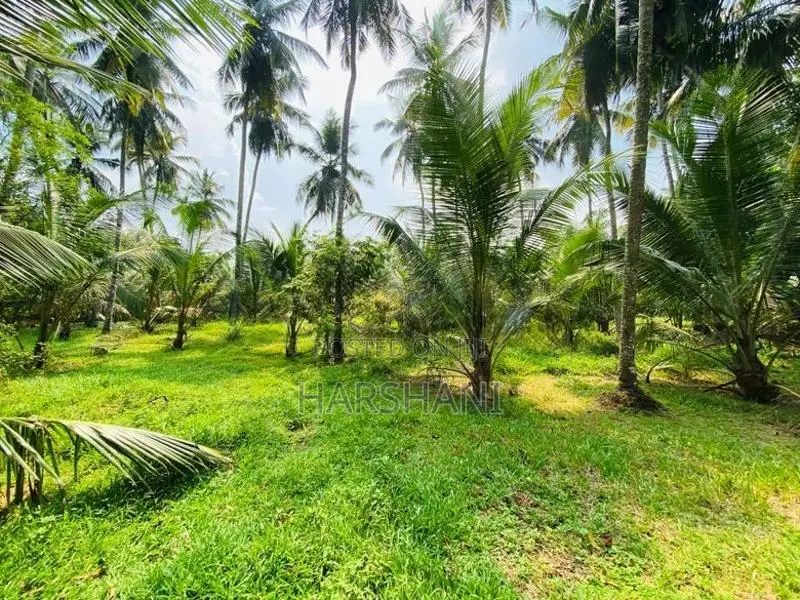 8.5P Superb Land Facing Paddy field Close to Tech Universities, Malabe