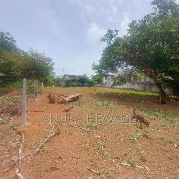 මාලබේ, කොතලාවල, පට්ටියවත්ත පාරේ පිහිටි ඉඩමක් විකිණීමට ඇත. (ID:AGMP020S