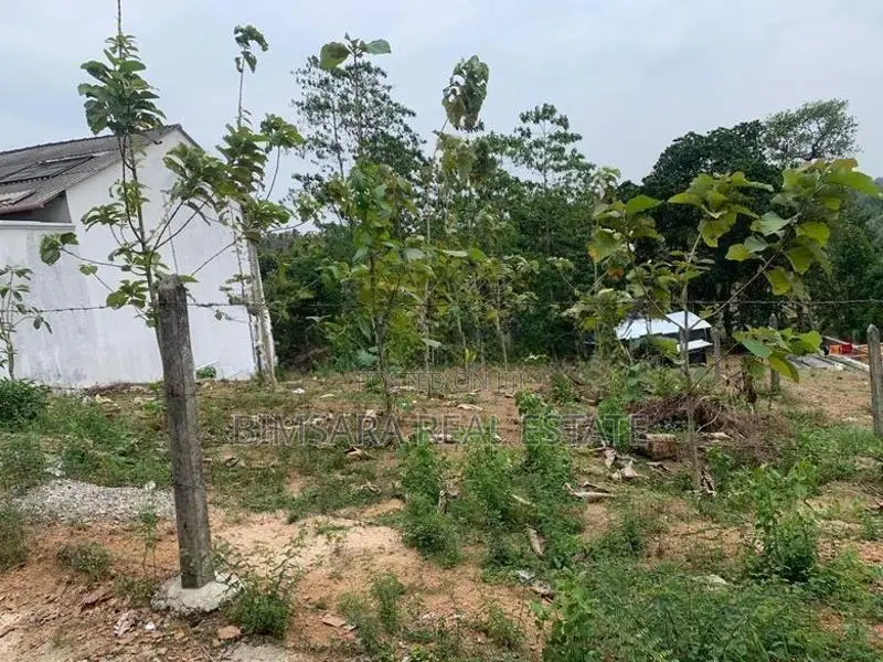 20-Perch Residential Land for Sale in Thalawathugoda | SL12880