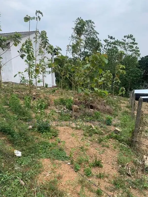 20-Perch Residential Land for Sale in Thalawathugoda | SL12880