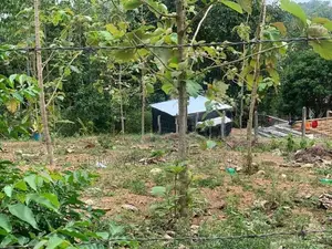 20-Perch Residential Land for Sale in Thalawathugoda | SL12880