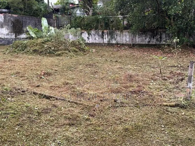 10P Bare Land For Sale In Malabe