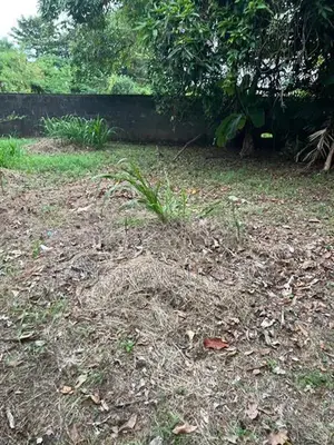 Land for sale jaela