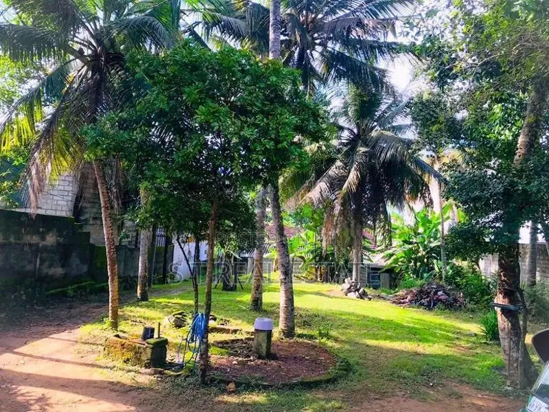 24 P Residential Land for Sale in Dehiwala