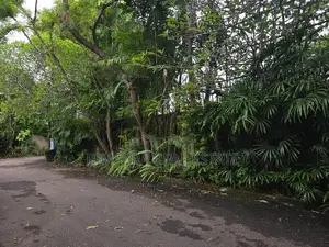 High Demand Colombo 6 Land - Ideal for Luxury Home or Redevelopment