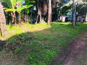 24 P Residential Land for Sale in Dehiwala