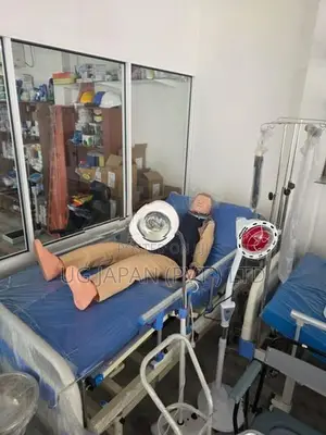 Four Function Hospital Bed Germon Motor