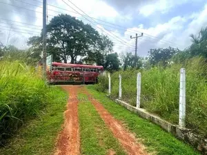 Coconut Grown Land Facing Bus Rd Anamaduwa - Putlam District