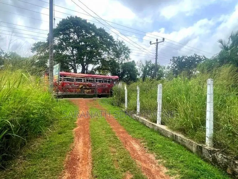 Coconut Grown Land Facing Bus Rd Anamaduwa - Putlam District