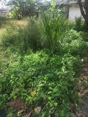 Land For Sale In Boralesgamuwa Abillawatta