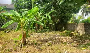 20 Perches Land for Sale in Rajagiriya