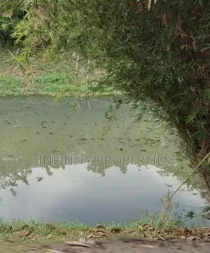 (AFA435) 12.15 P LAND For Sale Lake Dr Road Subuthe pura Battaramulla.