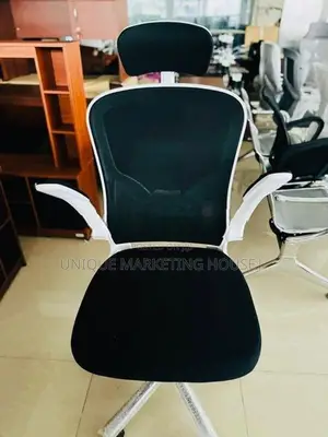 Imported Arm Adjustable Penguin Bk Support Office Chairs