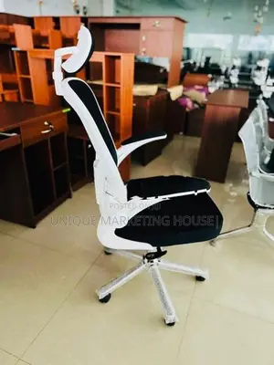 Imported Arm Adjustable Penguin Bk Support Office Chairs