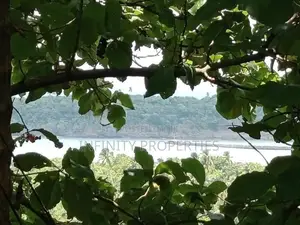(af152) 200P Beach Facing Land for Sale in Sinimodara Tangale