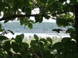 (af152) 200P Beach Facing Land for Sale in Sinimodara Tangale