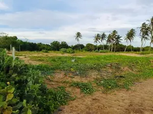 (AF151) 200 P Beach Facing Land Sale At Usangoda Nonagama