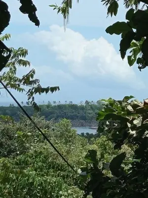 (af152) 200P Beach Facing Land for Sale in Sinimodara Tangale
