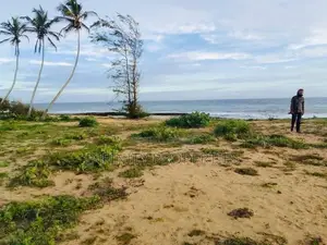 (AFA438) 200 P Beach Facing Land Sale At Usangoda Nonagama