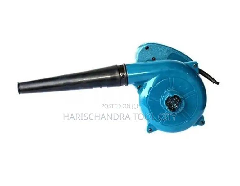 Men Electric Blower 600W