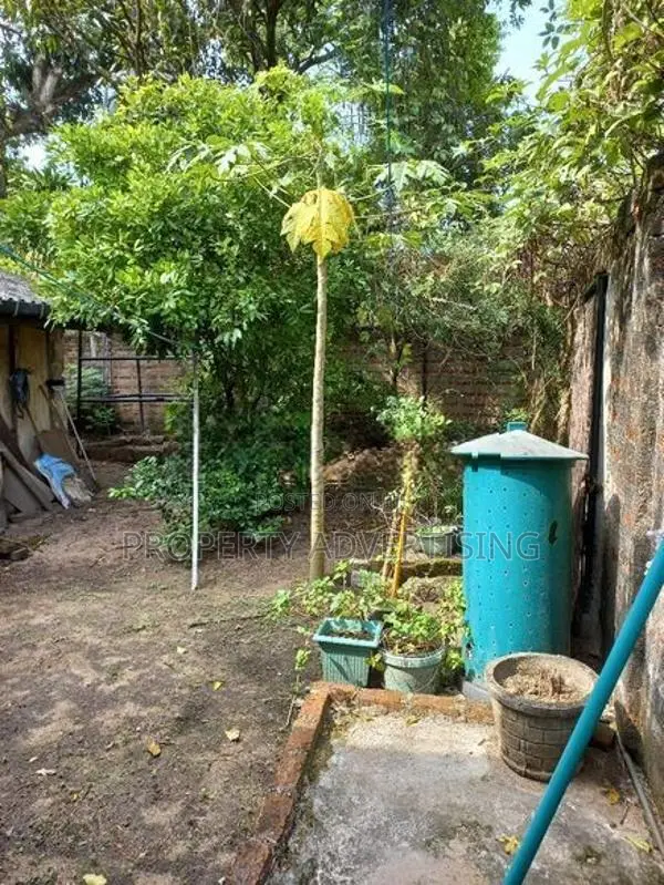 Havelock road facing house for sale