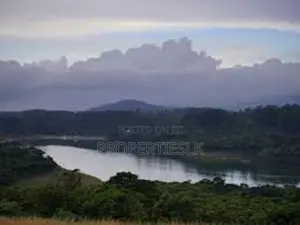 නුවරඑළිය ලෝකාන්ත පාරේ පර්චස් 17 ඉඩම විකිණීමට ඇත