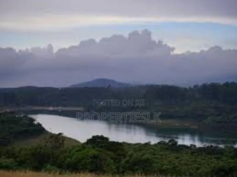 නුවරඑළිය ලෝකාන්ත පාරේ පර්චස් 17 ඉඩම විකිණීමට ඇත