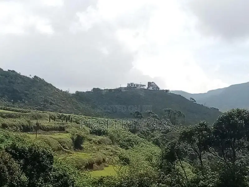 නුවරඑළිය ලෝකාන්ත පාරේ පර්චස් 17 ඉඩම විකිණීමට ඇත