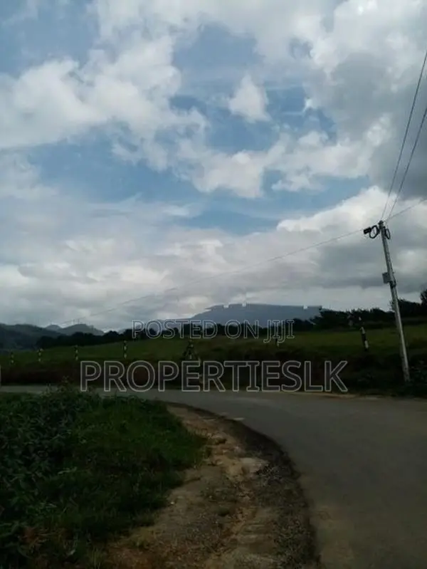 නුවරඑළිය ලෝකාන්ත පාරේ පර්චස් 17 ඉඩම විකිණීමට ඇත