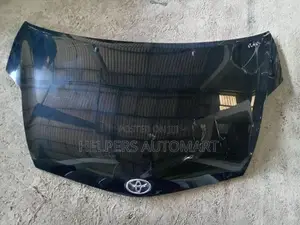 Toyota prius W20 Bonnet