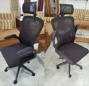 Imported Arm Adjustable Asian Office Chairs