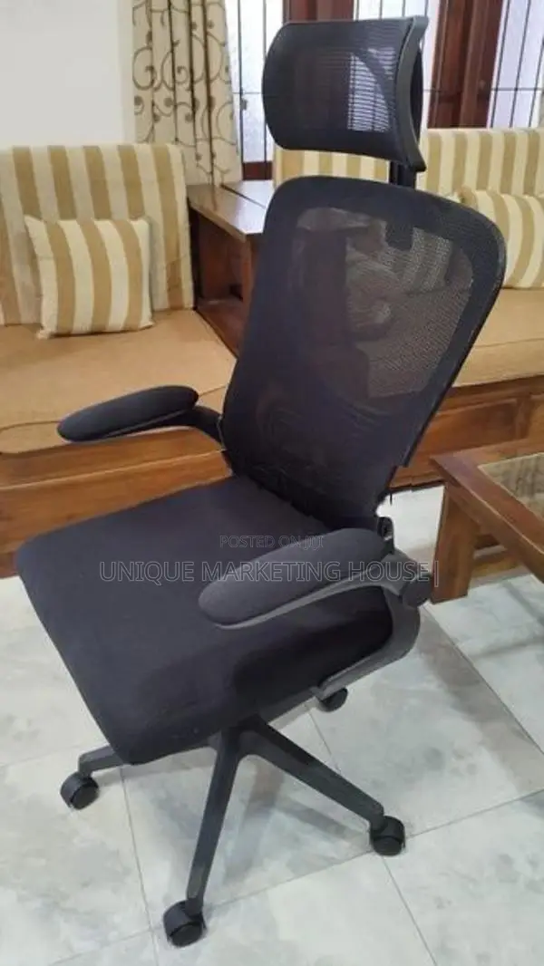 Imported Arm Adjustable Asian Office Chairs