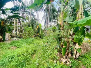 16P Land for Sale Close to 4 Way Junction Rukmale, Pannipitiya