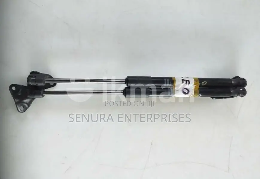 Nissan Leaf Azc0 Dicky Shocks