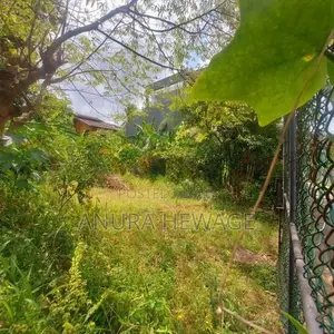 Land for Sale Hokandara, Thalawathugoda Road. (ID : THLW001)