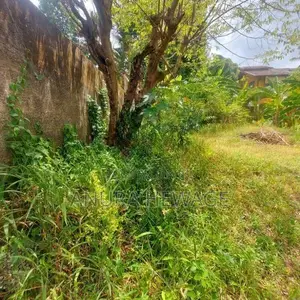 හෝකන්දර, තලවතුගොඩ පාරේ පිහිටි ඉඩමක් විකිණීමට ඇත. (ID : THLW001S)